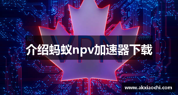 介绍蚂蚁npv加速器下载
