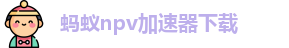 蚂蚁npv加速器下载